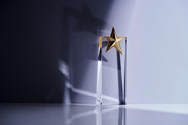 Star trophy award.jpg